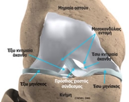 Αρθροσκοπική Χειρουργική Β 01